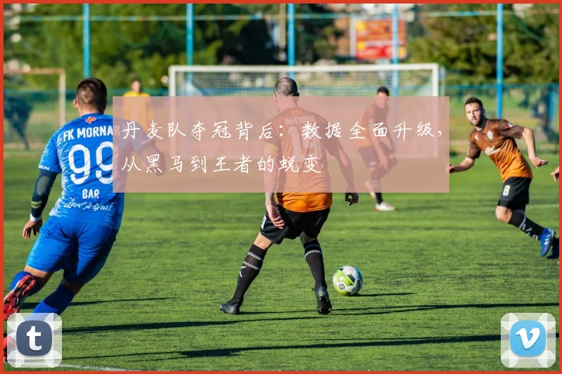 丹麦队夺冠背后：数据全面升级，从黑马到王者的蜕变