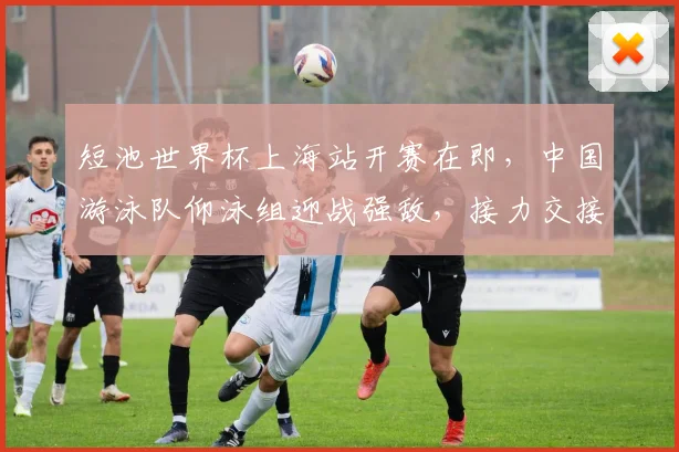 短池世界杯上海站开赛在即，中国游泳队仰泳组迎战强敌，接力交接成胜负手