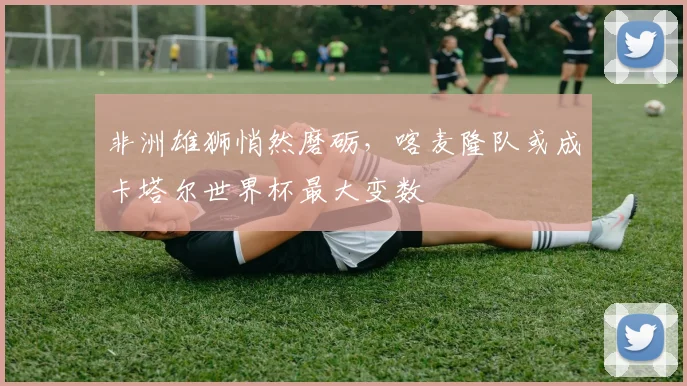 非洲雄狮悄然磨砺，喀麦隆队或成卡塔尔世界杯最大变数
